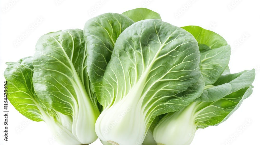 Fresh bok choy with vibrant green leaves displayed on a clean white background ideal for food photography and culinary use. Fresh bok choy with vibrant green leaves displayed on a clean white background ideal for food photography and culinary use.