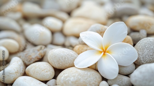 Serene Coastal Scene with Smooth Gravel Pebbles and Elegant White Flower on Natural Background