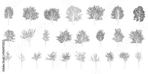 Bare deciduous trees contours, set. Beautiful different leafless trees.  Vector illustration