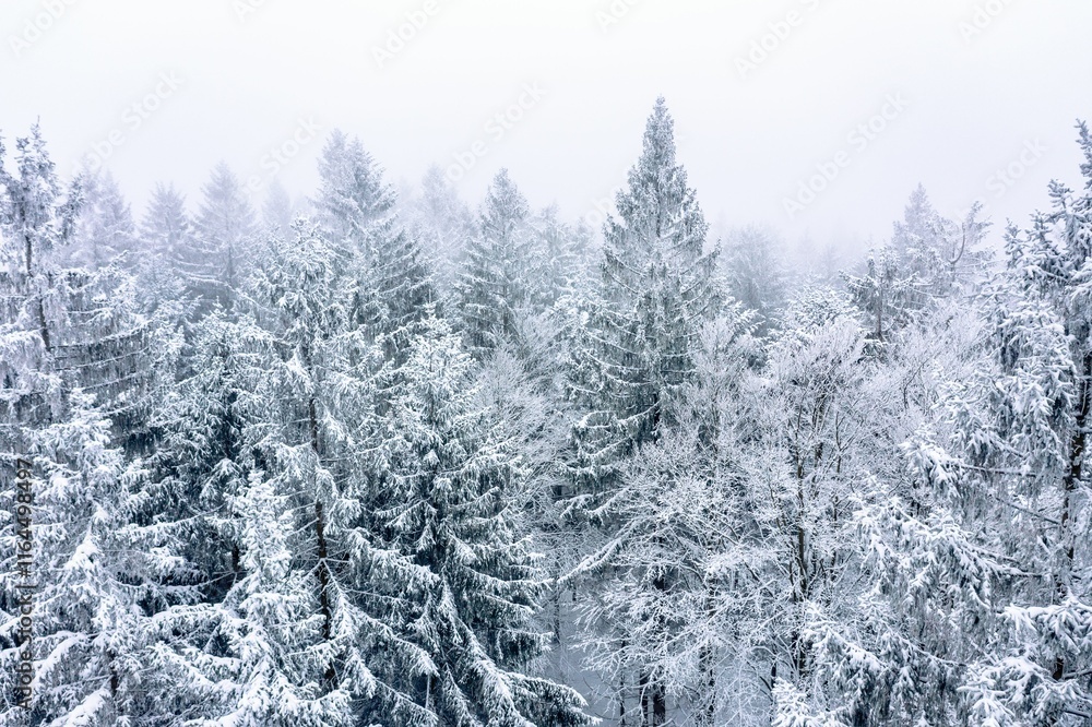 Snow-covered forest aerial view Snow-covered forest aerial view