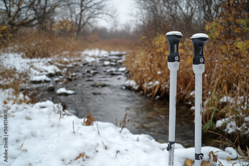 Ski Poles