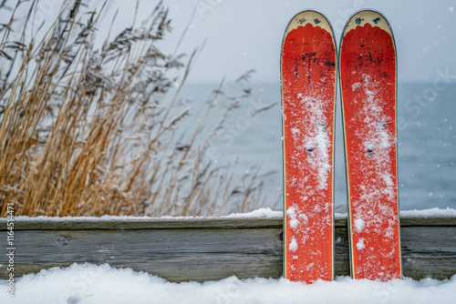 Ski Stand
