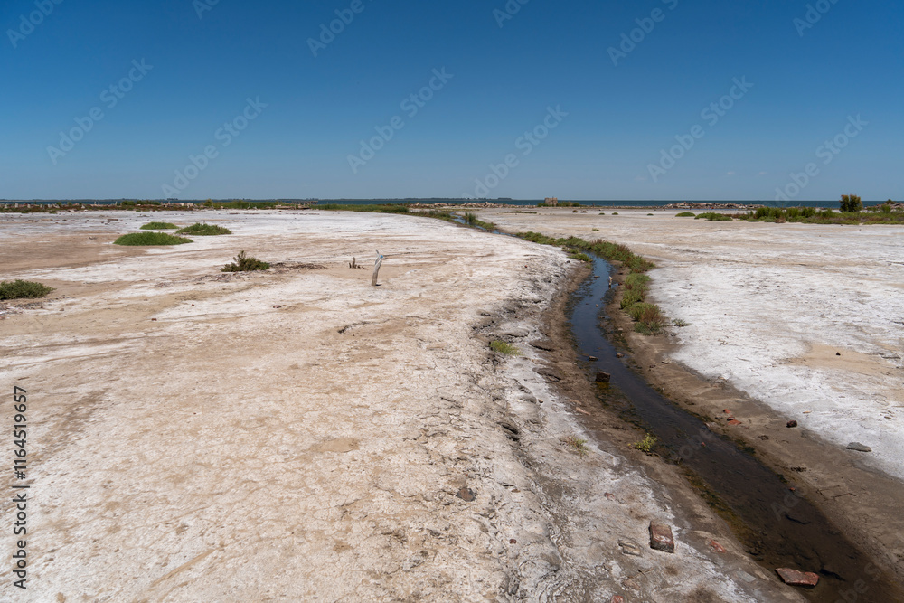 Desolate Desert Landscape Left by a Dry Salt Lagoon Desolate Desert Landscape Left by a Dry Salt Lagoon