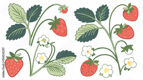 Strawberry Blossom Collection: A charming set of hand-drawn illustrations showcasing ripe strawberries on their vines, complemented by delicate blossoms.