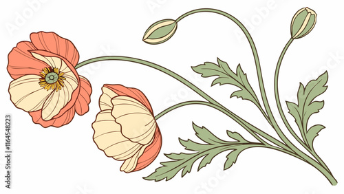 Delicate Poppy Bouquet: A graceful cluster of poppies, with their intricate petals and delicate stems, evokes a sense of gentle beauty and springtime charm.