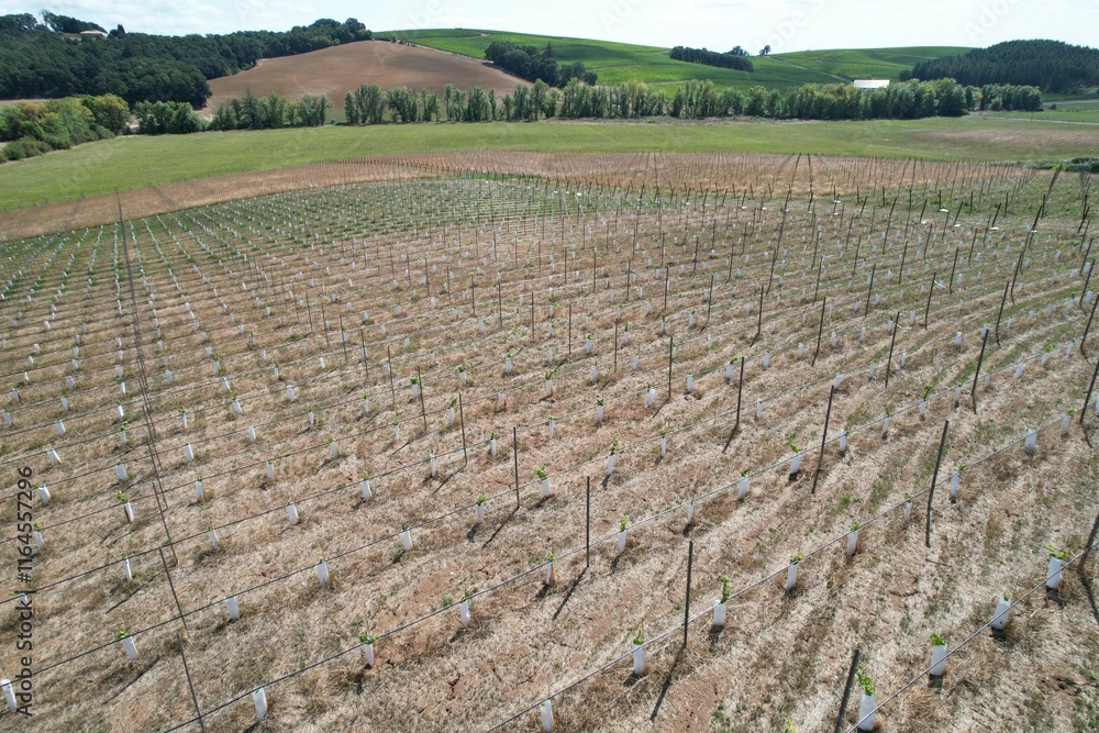Obraz premium default