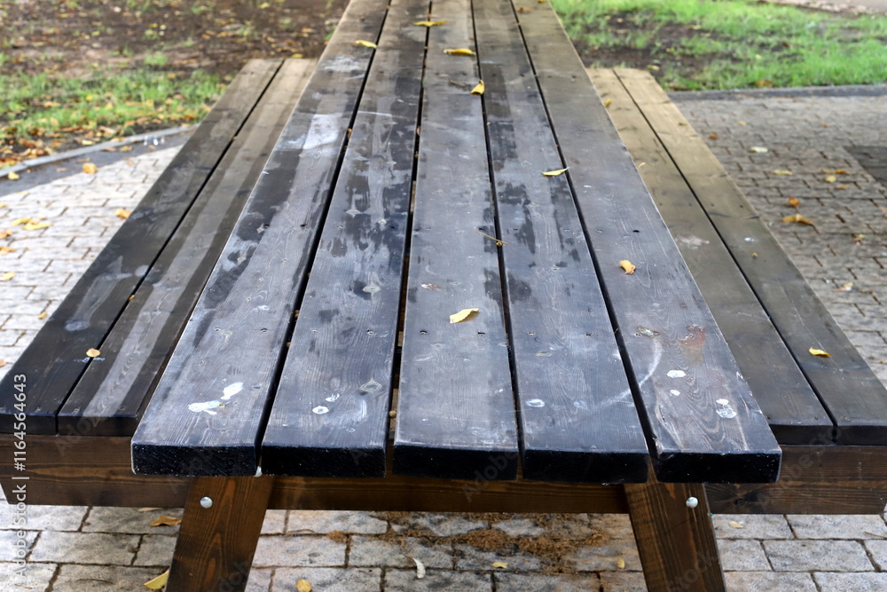 bench for rest in the city park bench for rest in the city park