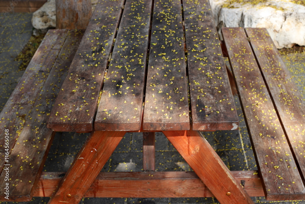 Fototapeta premium bench for rest in the city park