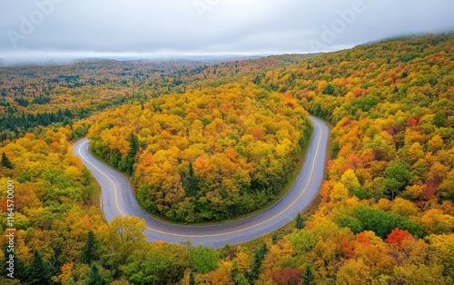 Autumnal Winding Road Through a Colorful Forest: A Scenic Fall Drive photo