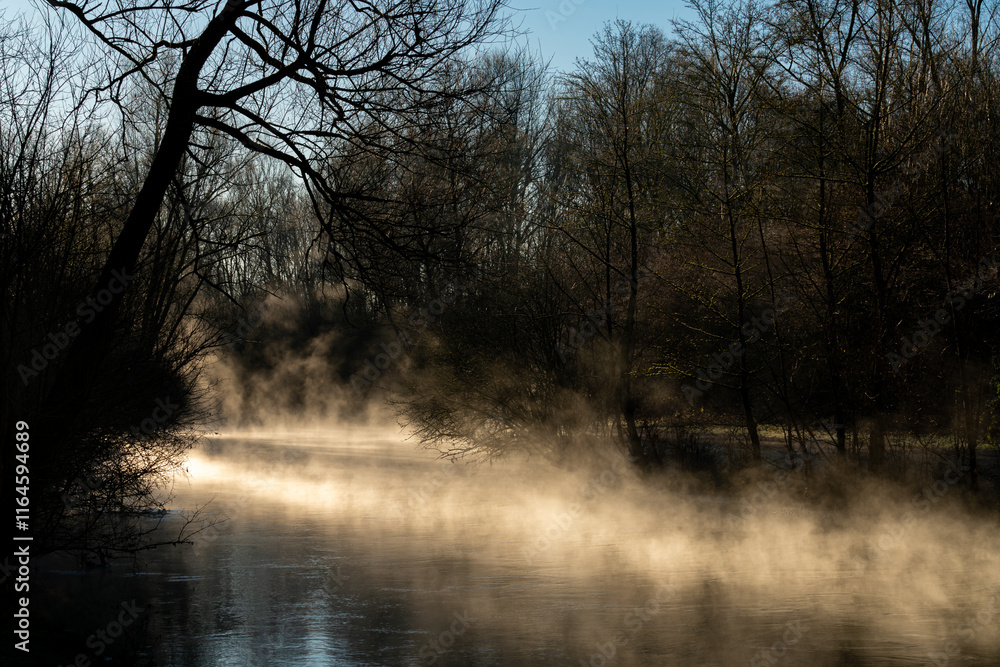 Morning mist rises above a tranquil river in a quiet forest setting Morning mist rises above a tranquil river in a quiet forest setting