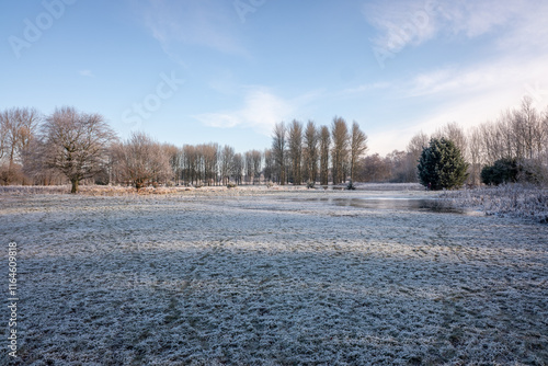 winter landscape with trees and snow photo