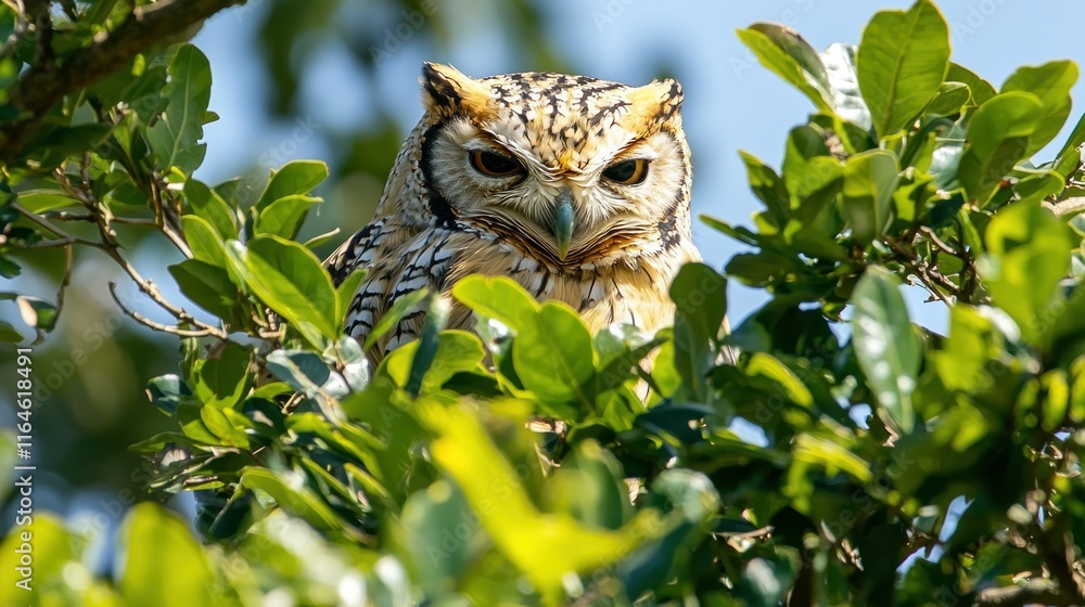 Obraz premium Owl perched in a leafy tree.