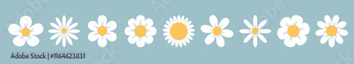 White daisy chamomile set line. Camomile icons. Cute round flower head plant collection. Love card symbol. Growing concept. Simple flat design. Nature childish style. Isolated. Blue background. Vector