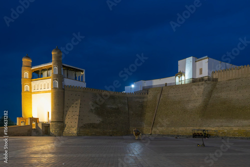 Wallpaper Mural Uzbekistan - Bukhara - Ark Fortress by night Torontodigital.ca