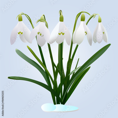 Delicate Snowdrop Bouquet with Snowy Base