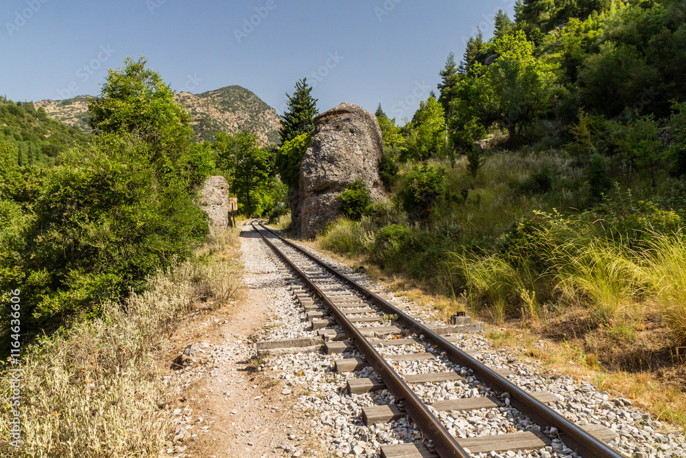 Fototapeta premium Narrow gauge Odontotos railway in Vouraikos Gorge on Peloponnese peninsula, Greece.