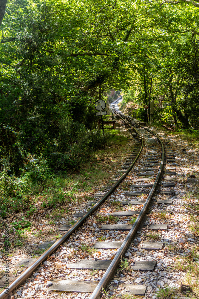 Fototapeta premium Narrow gauge Odontotos railway in Vouraikos Gorge on Peloponnese peninsula, Greece.