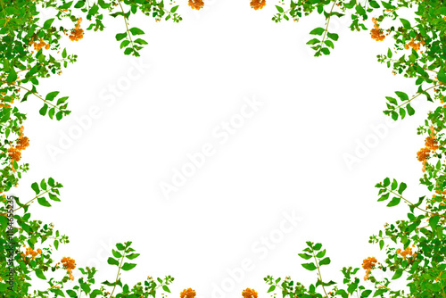Wallpaper Mural Frame with green leaves and flowers. Isolated transparent background. Spring decoration design elements. PNG Torontodigital.ca