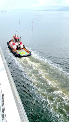 View of a tugboat aboard a cruise ship, supporting navigation in areas of greater danger. Special attention is paid to the intact nature and the difference in tones in the water due to different consi