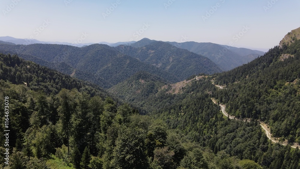 Obraz premium Traveling Forest Road Aerial View