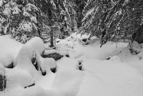 By the Villbekken Creek below the Reklingmyra Bog of the Totenåsen Hills, Norway, in December 2024. photo