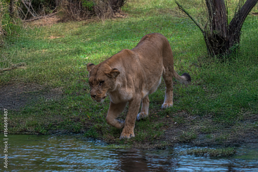 Naklejka premium Generated image