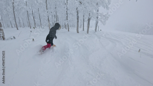 Snowboarder in pink pants riding through fresh powder at the edge of a ski slope. Clouds of snow spray behind as she enjoys carving in backcountry area of a snowy Japanese ski resort during snowfall. photo