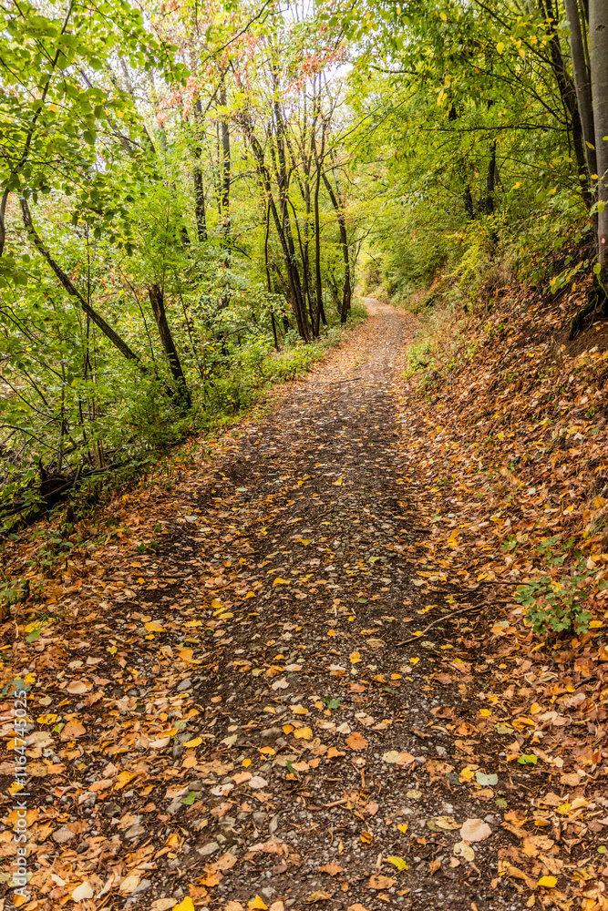 Fototapeta premium Hiking trail in Derdap National Park, Serbia