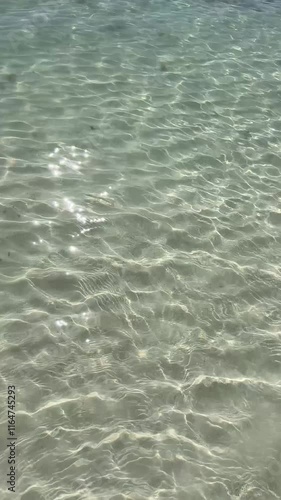 Clear turquoise water reflects sunlight at a serene beach