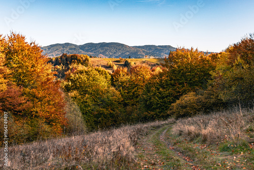 Fototapeta Naklejka Na Ścianę i Meble -  Jesienny krajobraz na górskim szlaku