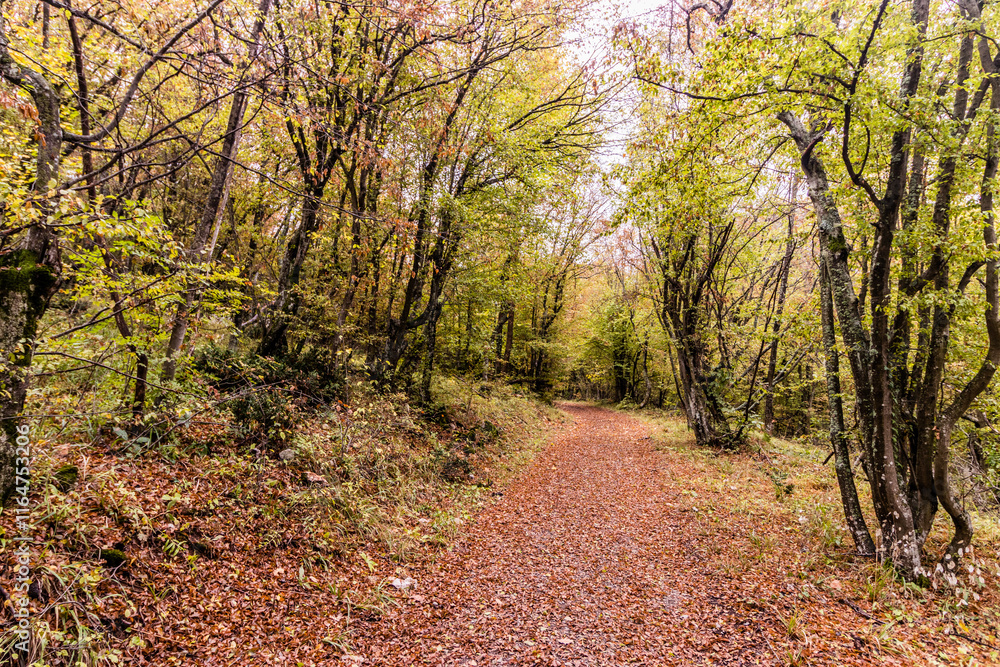 Naklejka premium Hiking trail in Derdap National Park, Serbia