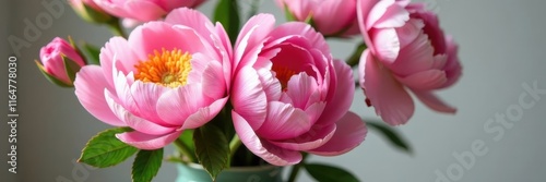 Fresh pink peonies and roses arranged in a vase, pink peonies, rose bouquet