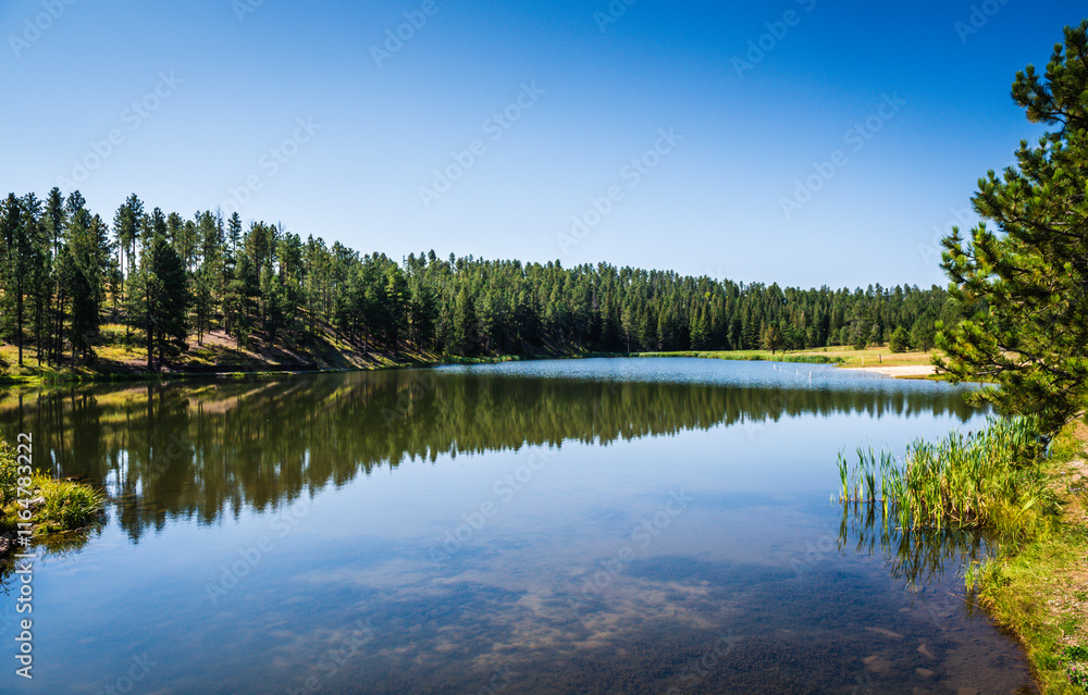 Obraz premium Roubaix Lake is a small lake located northwest of Rapid City and South of Deadwood, just west of US Highway 385.