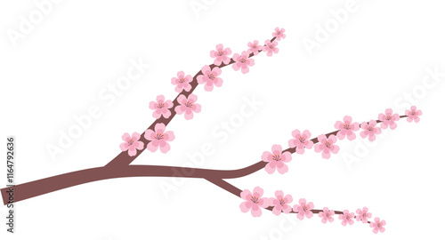 Cherry Blossom Vector