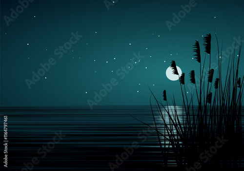 night sky with moon and stars over ocean