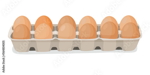 Chicken eggs in a cardboard container