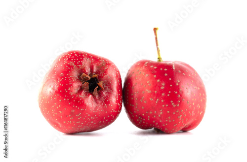 Two red hawthorn berries on a white background photo