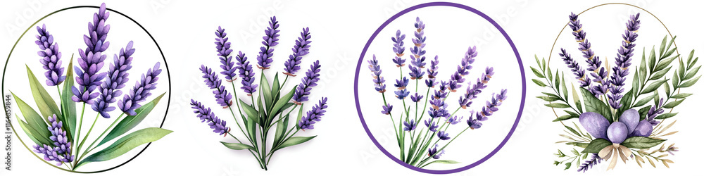 Fototapeta premium Watercolor lavender design and flower logo, A series of illustrated lavender bouquets displayed in circular frames, showcasing vibrant purple flowers and green foliage.