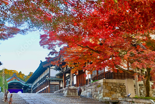 金戒光明寺・清和殿・紅葉（京都・左京区） photo