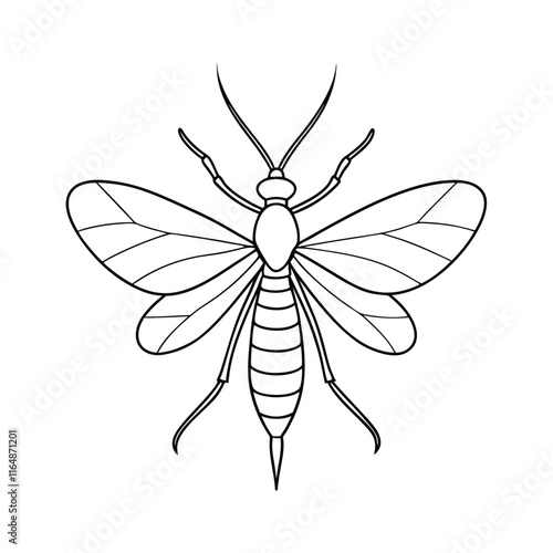 Mayfly (Ephemeroptera) insect silhouette design, labeled line art vector illustration.