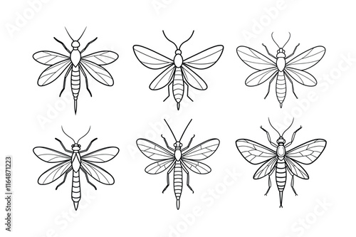 Mayfly (Ephemeroptera) insect silhouette design, labeled line art vector illustration.