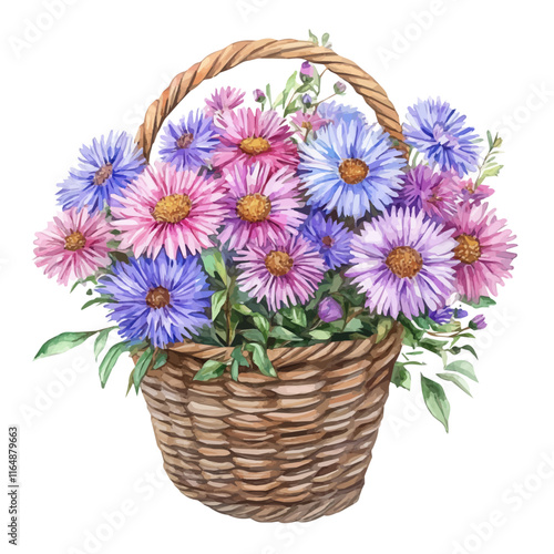 A watercolor illustration of an aster bouquet in a basket, isolated on a white background. Aster vector.
