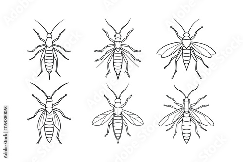 Stonefly (Plecoptera) insect silhouette design, labeled line art vector illustration.