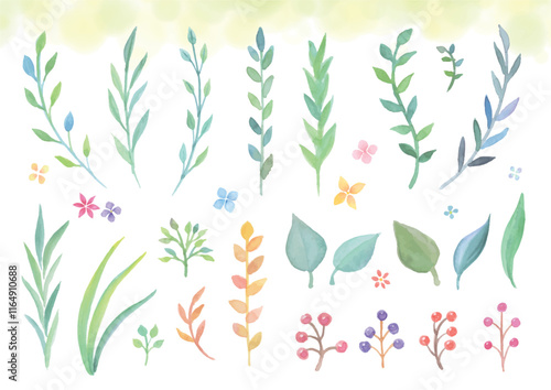 透明感のある水彩手描きの草と葉っぱ類