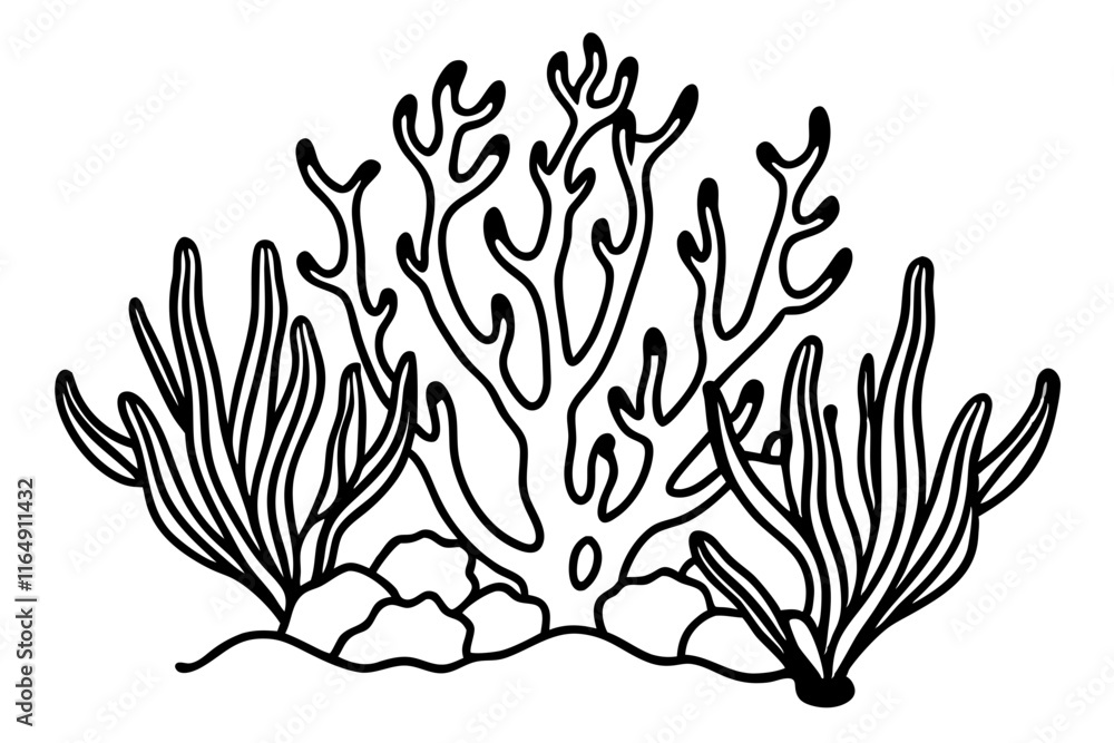 Fototapeta premium Seaweeds and corals flourishing ocean