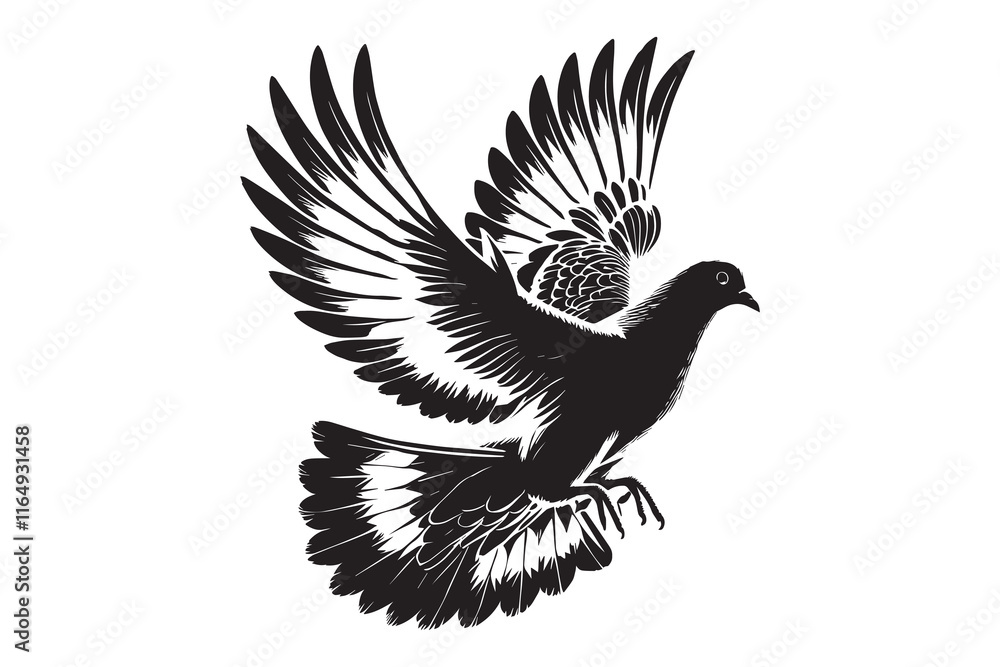 Obraz premium pigeon silhouette and vector