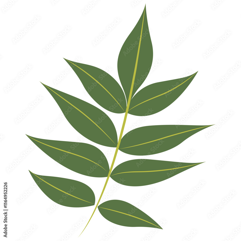 Fototapeta premium Tropical Leaf Element. Exotic Leaf Plant and Flower. Vector Cartoon Illustration
