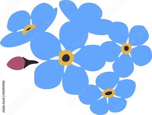 Forget me nots, Myosotis, Scorpion grasses
