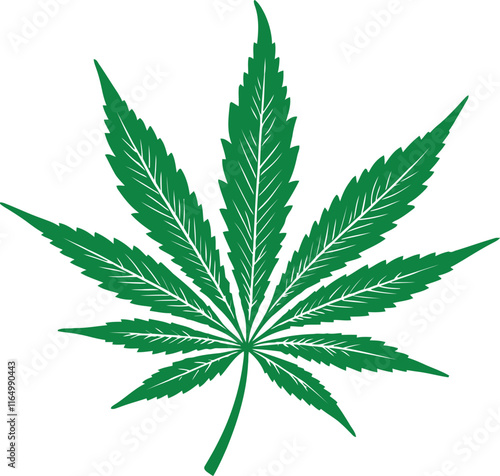 cannabis leaf isolated on white