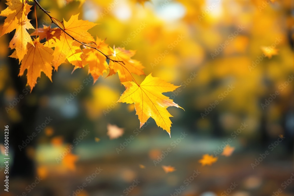 Close-up of vibrant orange and yellow maple leaves on a branch, set against a blurred forest background, depicting a warm autumn concept. Ai generative Close-up of vibrant orange and yellow maple leaves on a branch, set against a blurred forest background, depicting a warm autumn concept. Ai generative